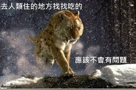 作为一个过来人，我给年轻人的建议是：别过来图片