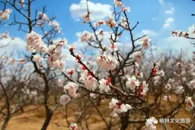 触摸时光，洗净铅华，在榆林开启一场修心之旅！图片