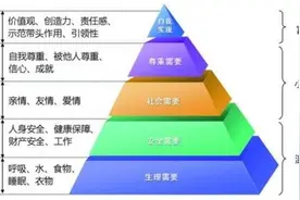 钓鱼基本功：鱼的基本需求！带你从根上了解鱼图片