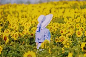 魔都今夏必打卡的12大花海，好看还免费图片