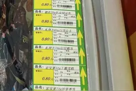 看了东北雪糕的价格，这是真实存在的吗？图片