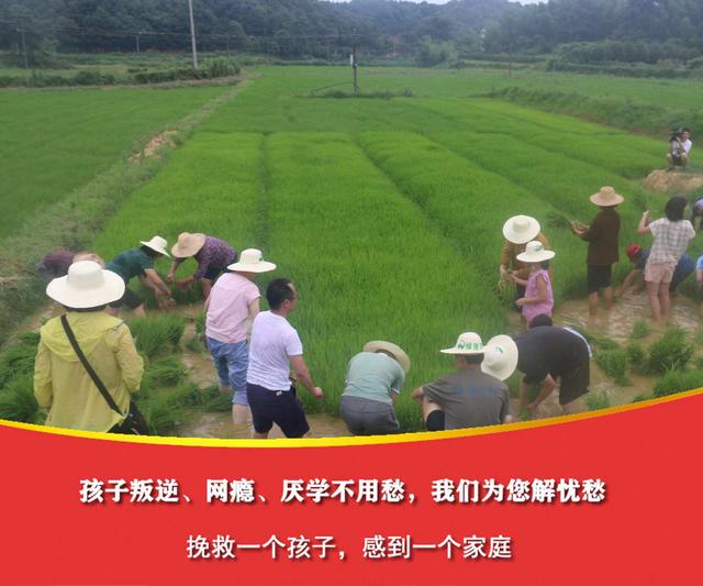 什么特训学校好(图3)