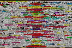 网上现在最火的弹幕，能看懂的算你赢图片