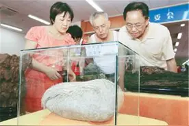 男子花1.8万买下长满白发的石头，半年长了2cm，专家：它是活的图片