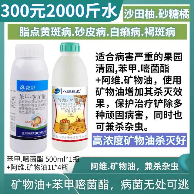 开年就连续寒潮，今年预计虫害较少，病害较多，尤其是沙皮病