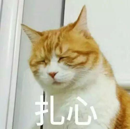 ҵĹҪѣҲҪ˿ô