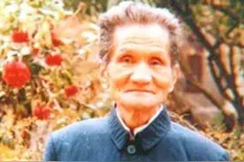红色特工韩子栋：被关14年，在沈醉面前装疯被识破，仍成功越狱图片