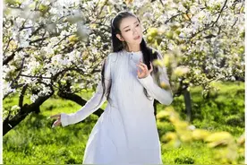 亚麻、苎麻、棉麻价格可是大不同，你穿的麻布衣服是哪种？图片