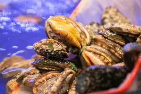 海鲜自助让人飘飘欲鲜就在此刻！（蓝极海鲜姿造海鲜自助）图片