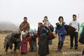 辟谣：专家说农家肥不能用？图片