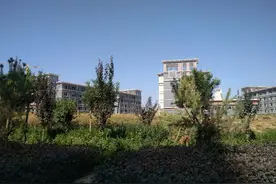 武威六中搬迁后经费解决办法图片