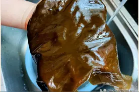 清水洗海带，越洗越脏！多加1步，脏物一冲就掉，柔软脆爽易消化图片
