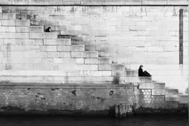 故事 · 典藏 | 金牌销售经理图片