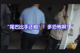 社死现场：大蛇偷入家中吃老鼠后，慌不择路被卡管道，动弹不得图片