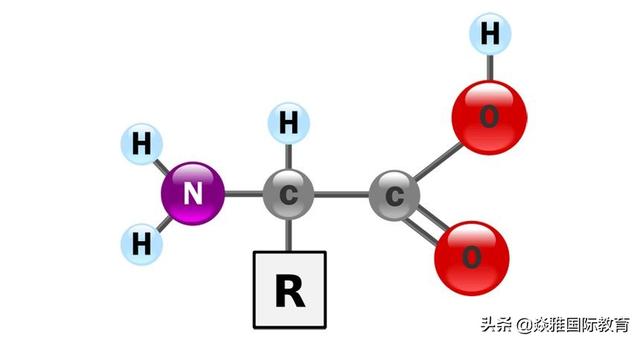 迟到的第一杯奶茶，在秋意正浓时你品尝到了吗？