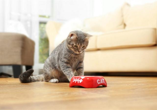 鐖辩尗琛ュ厖鐗涚：閰搁€斿緞澶氭牱锛屼絾閾插睅瀹橀渶鐭ワ細楦¤泲鍠傞鍐嶅涔熸棤鏁? onerror=