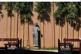 中国唯一的“树抱佛”古樟树，网友：咋放进去的？图片