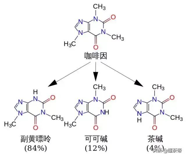 茶的咖啡因远超咖啡，那么问题来了，茶为啥不如咖啡提神？