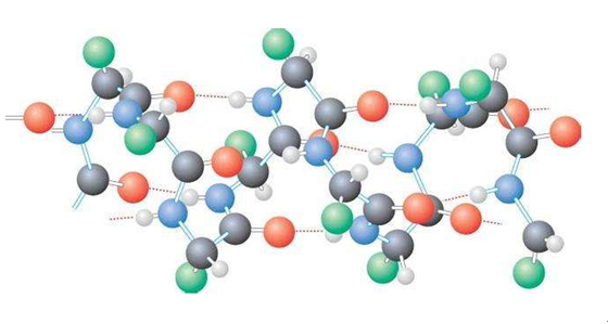 母猪泌乳都需要什么营养？营养缺失对泌乳有什么影响？