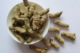 中药古今研究：巴戟天图片