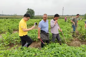 “堤在人在！”长江嘉鱼段沿线严阵以待，迎战大汛图片