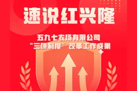 速说红兴隆 | 五九七农场有限公司“三项制度”改革工作成果图片