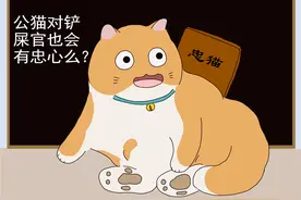 公猫对铲屎官也会有忠心？和猫的领地意识有关，猫有3种具体行为图片