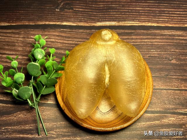 备孕期选什么花胶 备孕期选什么花胶最好