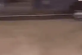 欧美人为什么把自由看得比命重要？图片