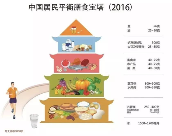 基础代谢——蛋白质的神奇功效