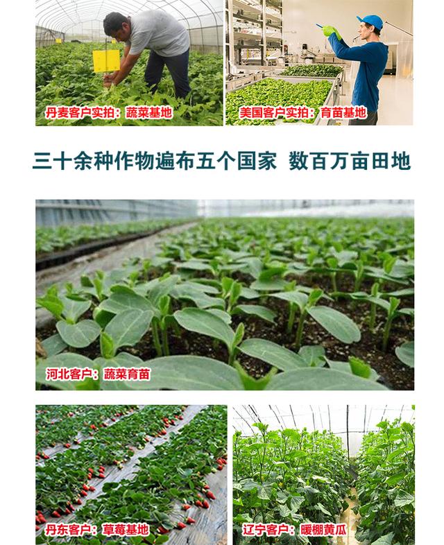 什么是氨基酸？氨基酸对作物生长的作用有哪些？