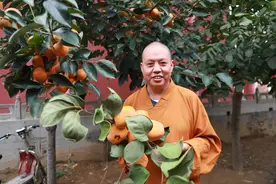 人生到头是从容图片