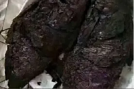 有个不会下厨的妈妈是什么体验？网友一抹辛酸泪：活这么大不容易图片