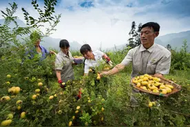 走起，从贵阳坐“公交”去六盘水耍哦图片