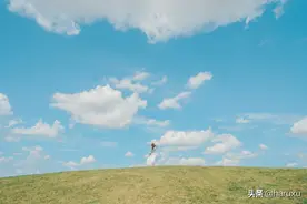 盐城新晋网红打卡点，美女如云花如海，还和著名导演王潮歌有关图片