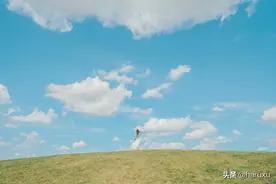 盐城新晋网红打卡点，美女如云花如海，还和著名导演王潮歌有关图片