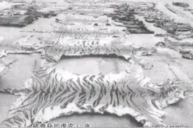 1999年一野生动物走私案轰动全国，主犯被捕后逃跑，结局如何图片