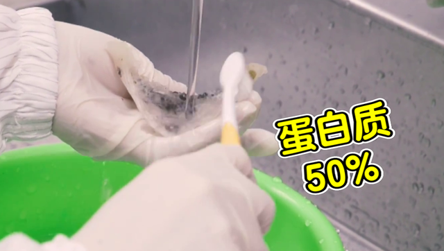 燕窝的制作方法 燕窝的制作方法全过程视频