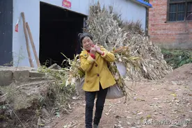 洛阳老两口在深山养14头牛，种20多亩地，真实演绎幸福靠奋斗图片