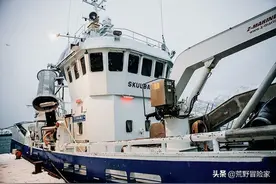 去挪威旅游访友才彻底明白：大西洋鳕鱼与普通鳕鱼根本不是一回事图片