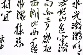 “司马南，我服你！”图片