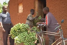 非洲到底多穷？拥有中国自行车就算富，拉一天货赚15元，纪录片图片