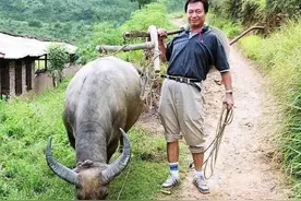 “阿灿”廖伟雄：放弃千万片酬，回农村耕牛种地，今63岁身价过亿图片