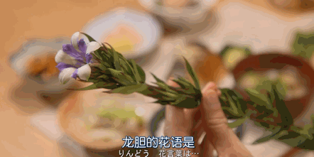 日剧鸡皮疙瘩系列影院