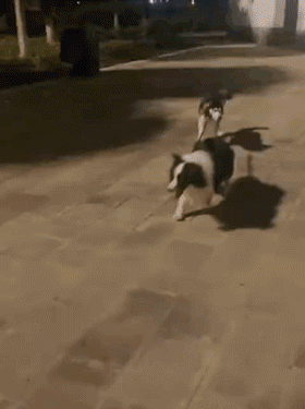 开心一刻｜一个人容易想太多，想太多容易一个人