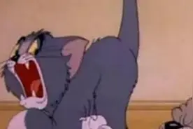 猫和老鼠：为什么女主人不露脸？20年后才知道，这3个原因太扎心图片