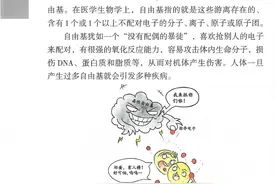 什么是自由基？图片