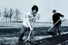 山东农妇地里挖出钻石，27万卖掉却被告上法庭，最后结果怎样？图片