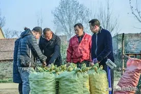应城供销消费扶贫助力“人和荸荠”销路再开图片