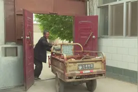 坐着轮椅挣钱 只为哥哥娶媳妇图片